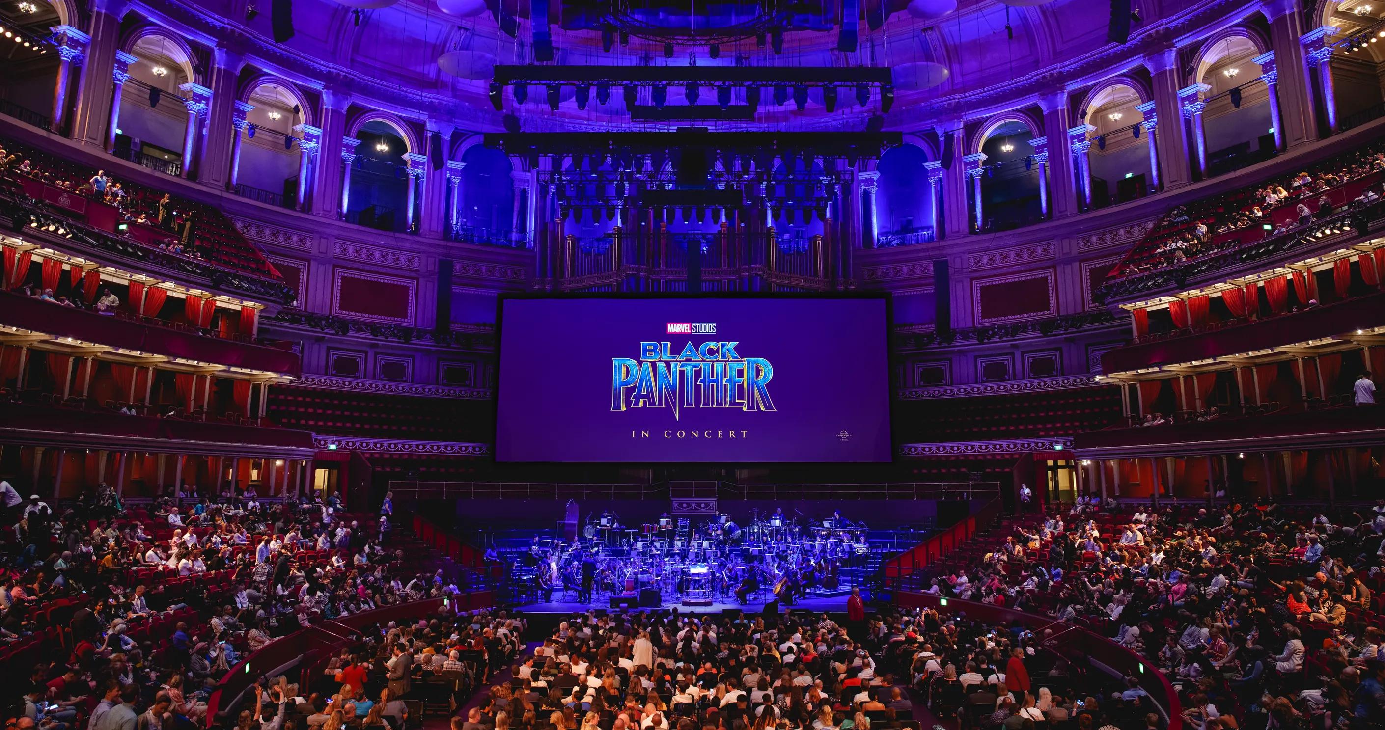 Black Panther in Concert